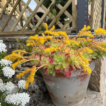 San Servolo Nature Retreat Novigrad * Bužinija